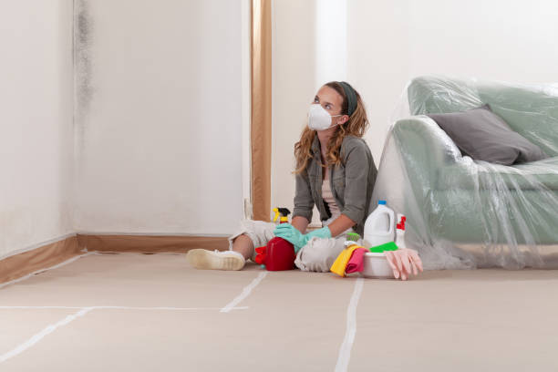 Reliable Mold Remediation contractor in Battle Ground, WA by 24 Hour Mold Removal